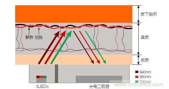 反射光脈搏測(cè)量原理。傳感器發(fā)出的光透過(guò)皮膚和組織，一部分被吸收，一部分被反射回檢測(cè)器。因?yàn)閯?dòng)脈中的血流量隨心臟的每次跳動(dòng)會(huì)有所變化，因此光線被吸收的量以及檢測(cè)器收到的信號(hào)強(qiáng)度也會(huì)隨之發(fā)生改變。綠光可以在手腕處提供最佳結(jié)果，而紅光和紅外光一般用于手指測(cè)量。 8