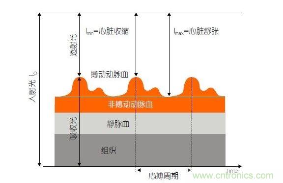 PPG測(cè)量中檢測(cè)器信號(hào)的產(chǎn)生。照射皮膚的光線(I0)被靜脈血或動(dòng)脈血吸收，或反射回檢測(cè)器。信號(hào)的變化分量對(duì)應(yīng)著與心跳同步變化的動(dòng)脈血流量。這個(gè)信號(hào)的變化周期指示了脈率。最小和最大檢測(cè)器信號(hào)的比值(光電流Imin/Imax)為判斷血氧飽和度提供了依據(jù)。