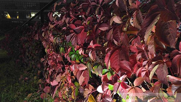 業(yè)界良心 LG V10 評(píng)測(cè):剛毅、冷峻，不失人性化