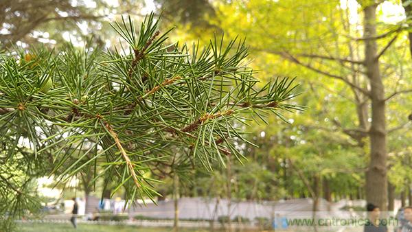 業(yè)界良心 LG V10 評(píng)測(cè):剛毅、冷峻，不失人性化