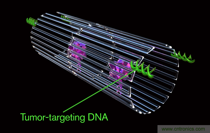 中美科學(xué)家聯(lián)手，用DNA納米機器人殺死癌細胞