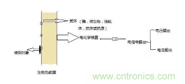 仿生傳感器的定義、原理、分類及應(yīng)用