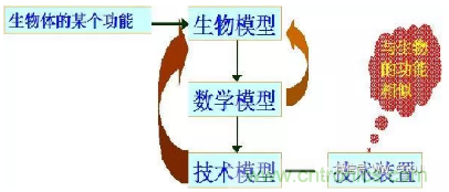 仿生傳感器的定義、原理、分類及應(yīng)用