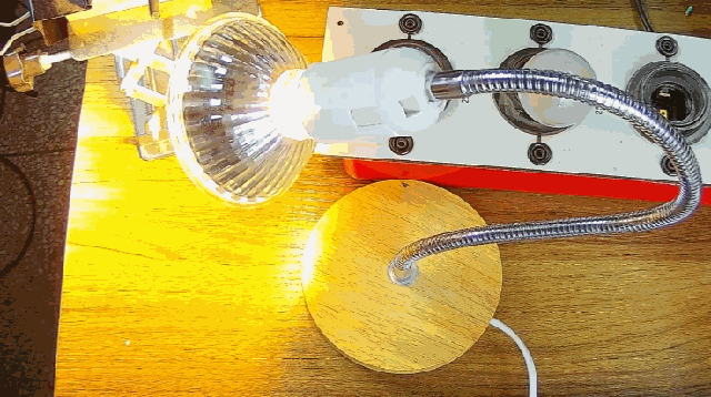 電燈泡內(nèi)通有交流電，為什么看不到燈泡在閃爍？