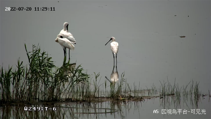 ?？低暟l(fā)布2022年ESG報告：科技為善，助力可持續(xù)的美好未來