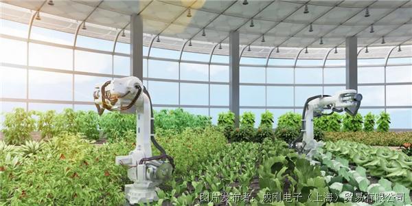 智慧農(nóng)業(yè)大有可為，“數(shù)字種地”更輕松